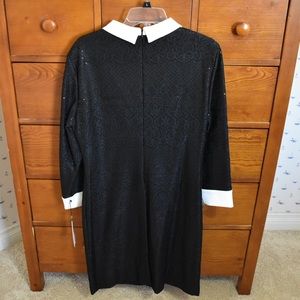 Ivanka Trump Dresses - Ivanka Trump Black Collared Dress Ivanka Trump Dresses - Ivanka Trump Black Collared Dress